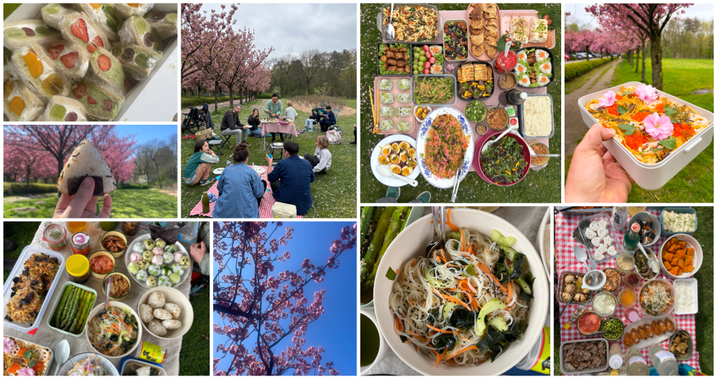 Hanami sakura picknick, met onigiri - Pimentón